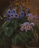 J. L. Jensen, Orkideer og blå blomster i urtepotter, 1845, ARoS.&nbsp;