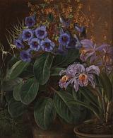 J. L. Jensen, Orkideer og blå blomster i urtepotter, 1845, ARoS.